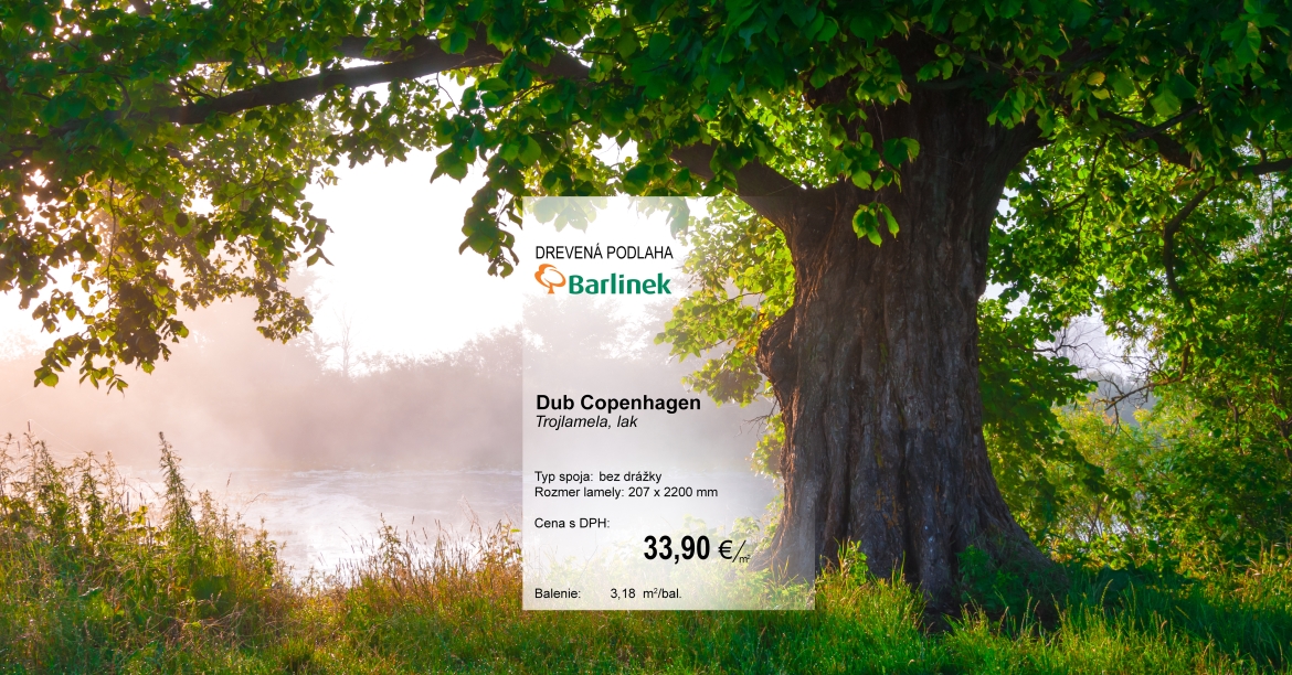 TRADIČNÉ AJ MODERNÉ - DREVENÉ PODLAHY